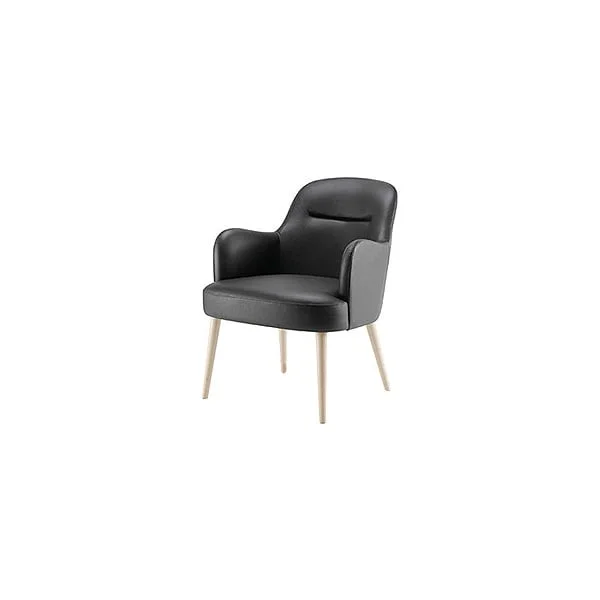 Leonardo Arm Chair 02