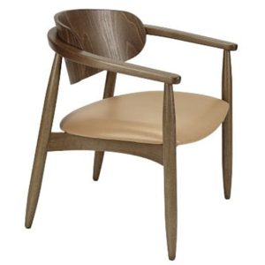 Joanne Lounge Chair with Back Pad